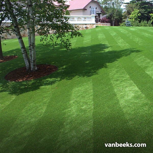 AGL Saratoga 80 Turf Preview